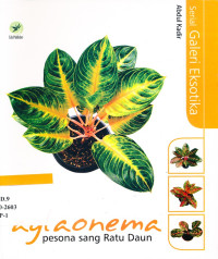 Image of Aglaonema : pesona sang satu daun