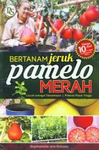Image of Bertanam jeruk pamelo merah