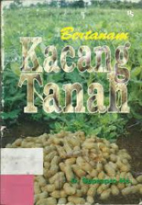 Image of Bertanam kacang tanah