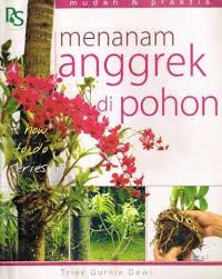 Image of Menanam anggrek di pohon