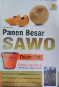 Image of Panen besar sawo dalam pot