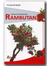 Image of Pedoman bertanam rambutan